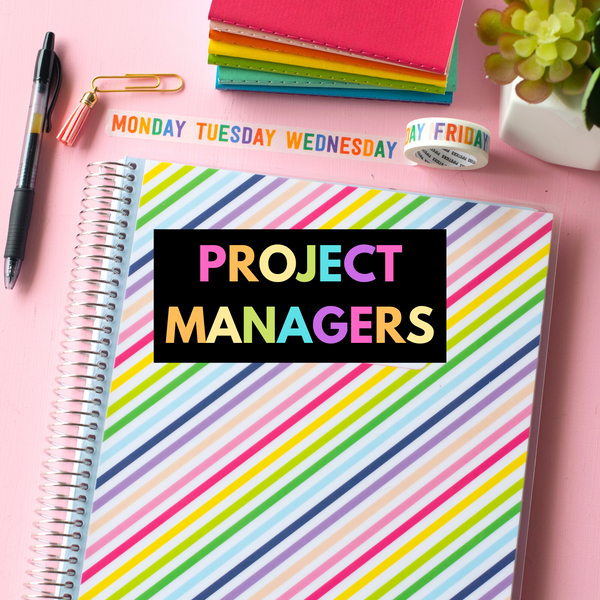 Project Managers