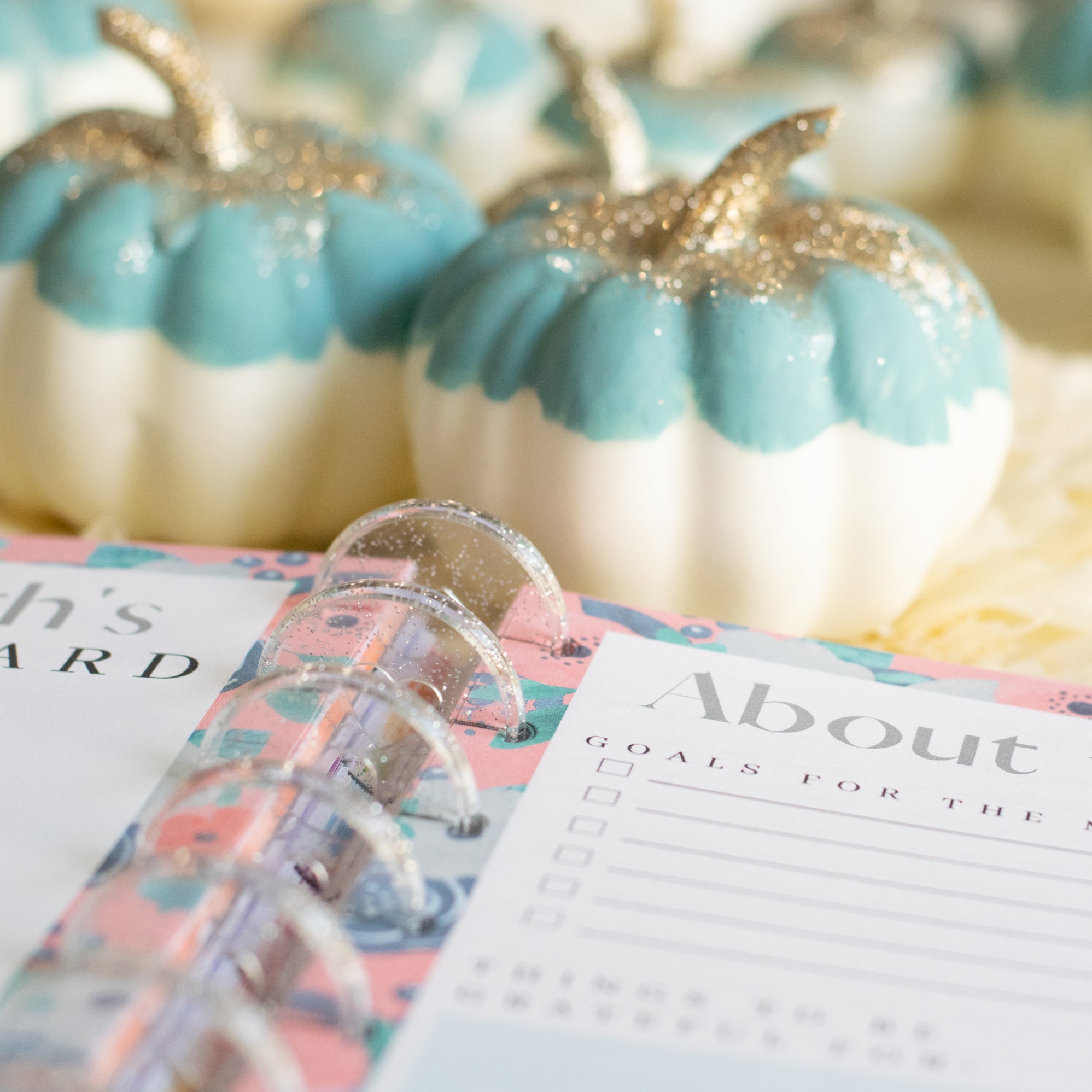 Printable Fall Pumpkin Planner Inserts for Happy Planner – Carrie Elle