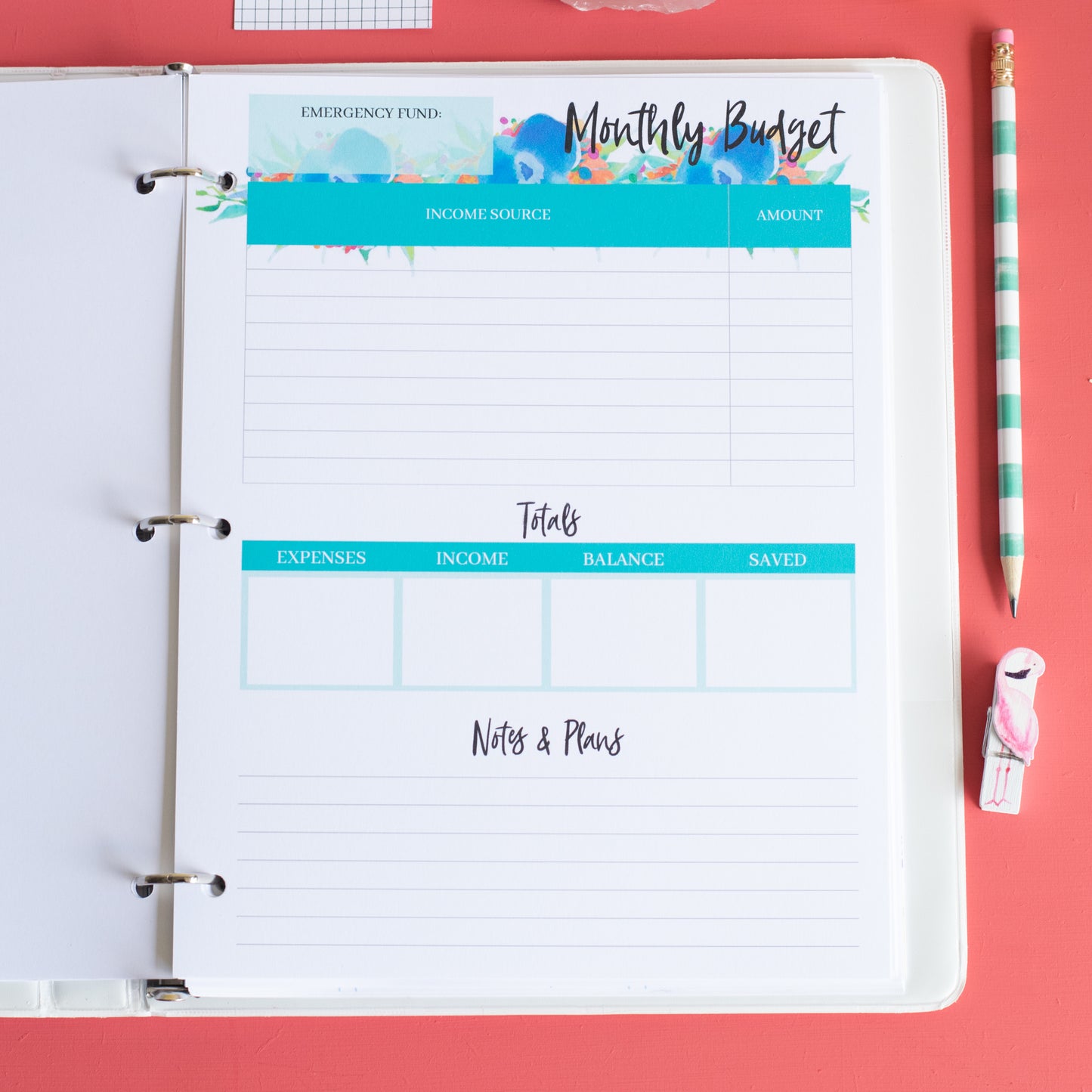 Printable Spend Well Budgeting Planner {Wild Thing}
